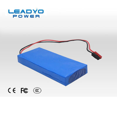 kupować Bateria litowo-jonowo-fosforanowa 24 V 10 Ah dostosowana do RS485 produkcja internetowa