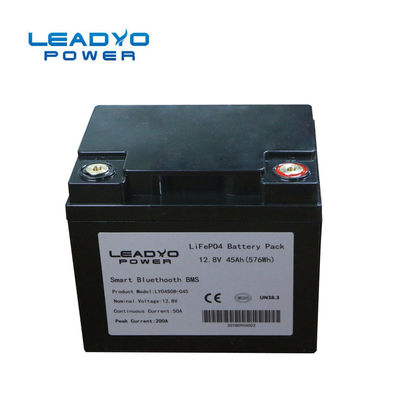 kupować Przykręcana obudowa 12V 50Ah Lifepo4 Bateria z Bluetooth 197x166x168mm produkcja internetowa