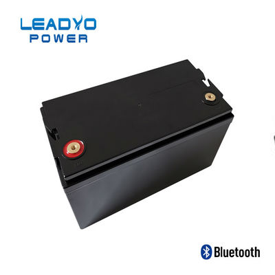 LEADYO BMS Marine Lifepo4 Baterie 12V 100amp Plastikowa przykręcana obudowa
